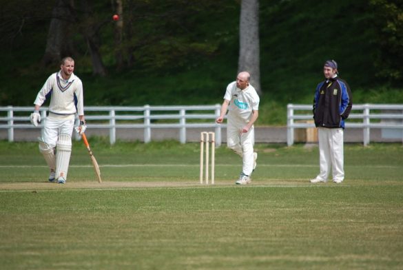 Cricket